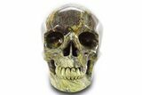 Realistic, Yellow Turquoise Jasper Skull - Magnetic #378757-1